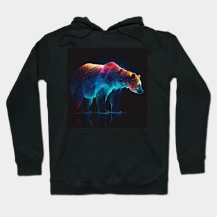 Bear of the Borealis Hoodie